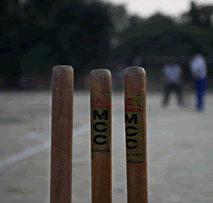 sports